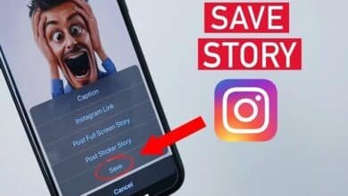 instagram story download snapinsta