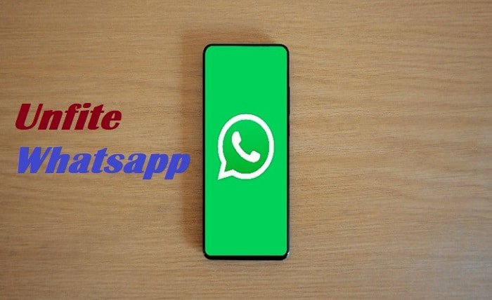 unfite whatsapp