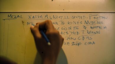 the unsent project